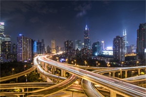 在植物王国的每个角落