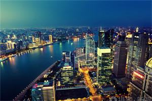 上海后花园：一个隐藏的花海仙境